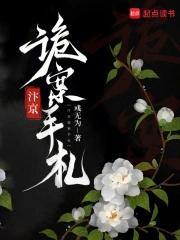汴京诡案手札txt百度