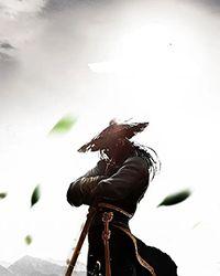 黎苏苏澹台烬全文阅读