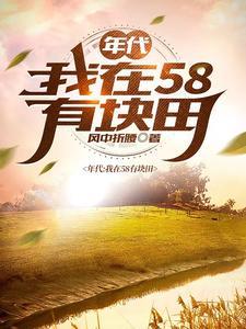 年代我在58有块田3Q