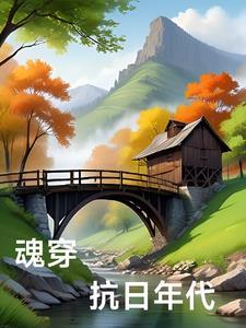 魂穿抗日年代云飞氢客全文免费阅读