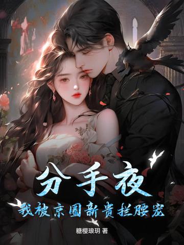 分手后我被男主的好兄弟连夜抱走穿书免费